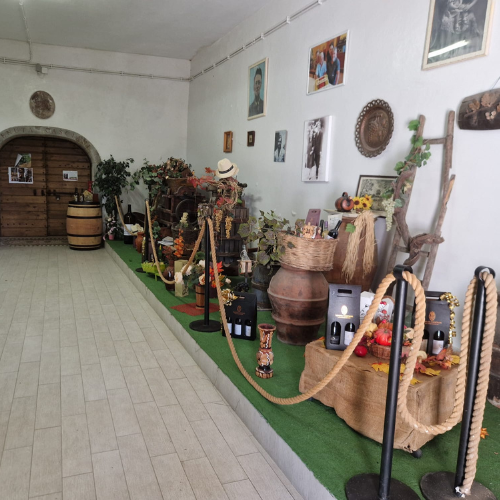 oriolo (3)